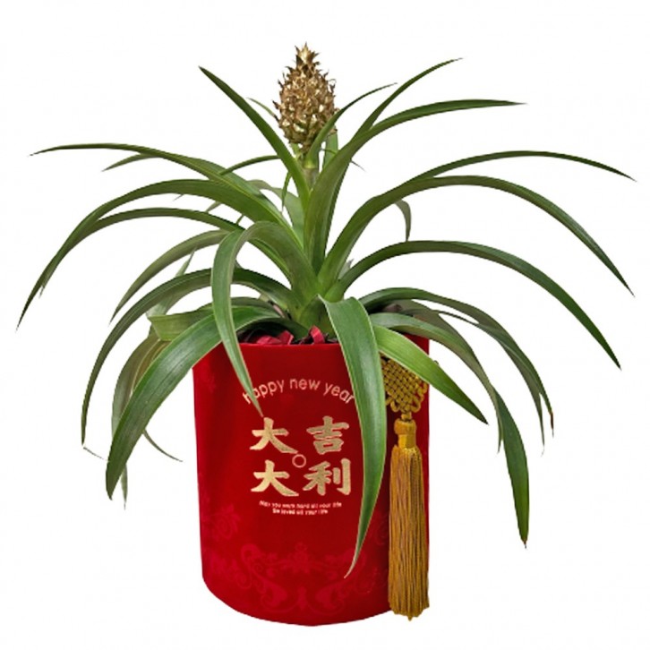 CNY Pineapple Arrangment Centrepiece (3703)