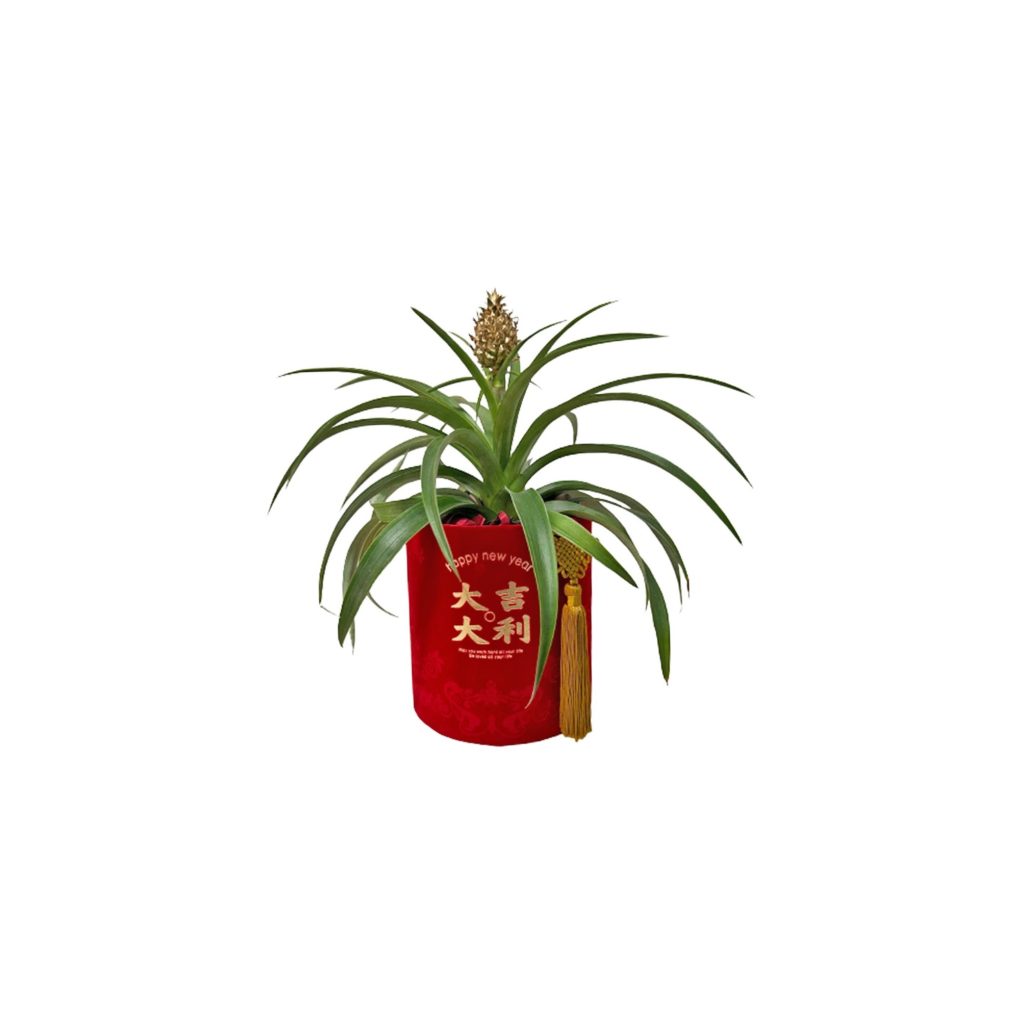 CNY Pineapple Arrangment Centrepiece (3703)