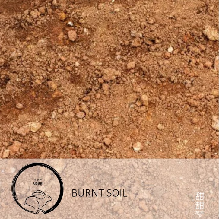Burnt Soil (Usagi)