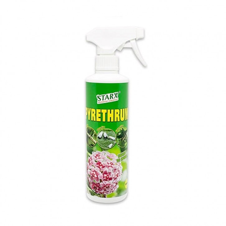 Pyrethrum - Natural Organic Insecticide (STARX)