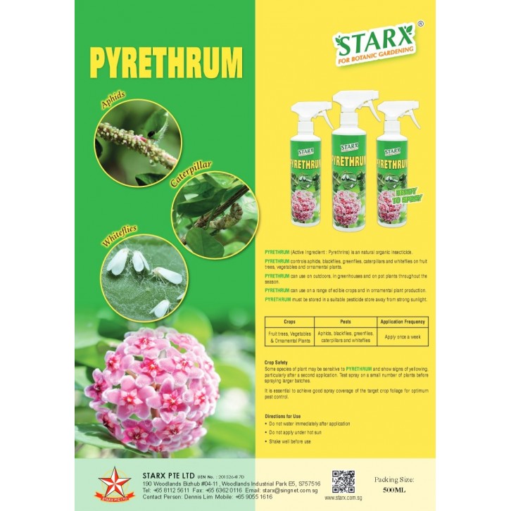 Pyrethrum - Natural Organic Insecticide (STARX)