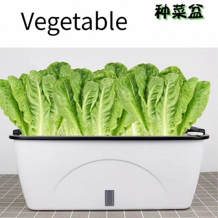 Self-Watering Planter Box (Plant Not Included)