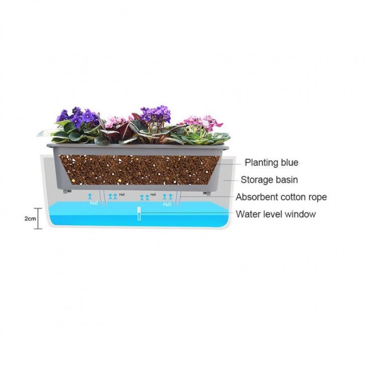 Self-Watering Planter Box (Plant Not Included)