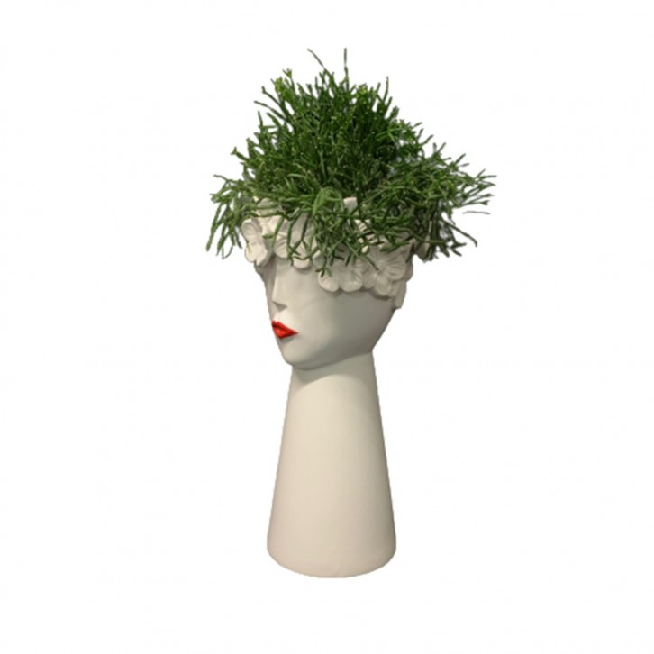 Rhipsalis on Face Shape Ceramic Pot