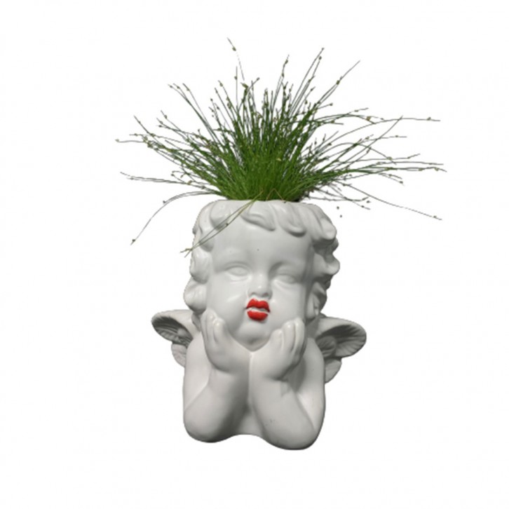 Isolepis on Angel Shape Ceramic Pot