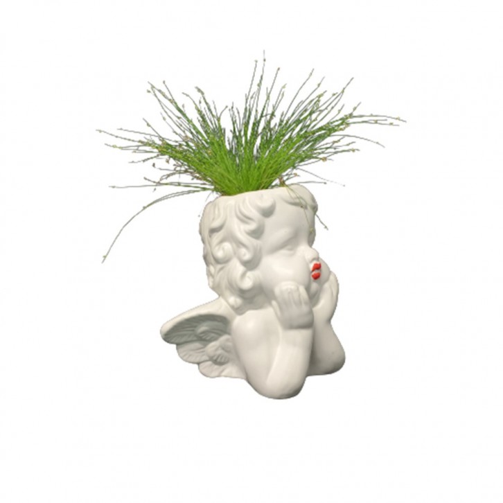Isolepis on Angel Shape Ceramic Pot