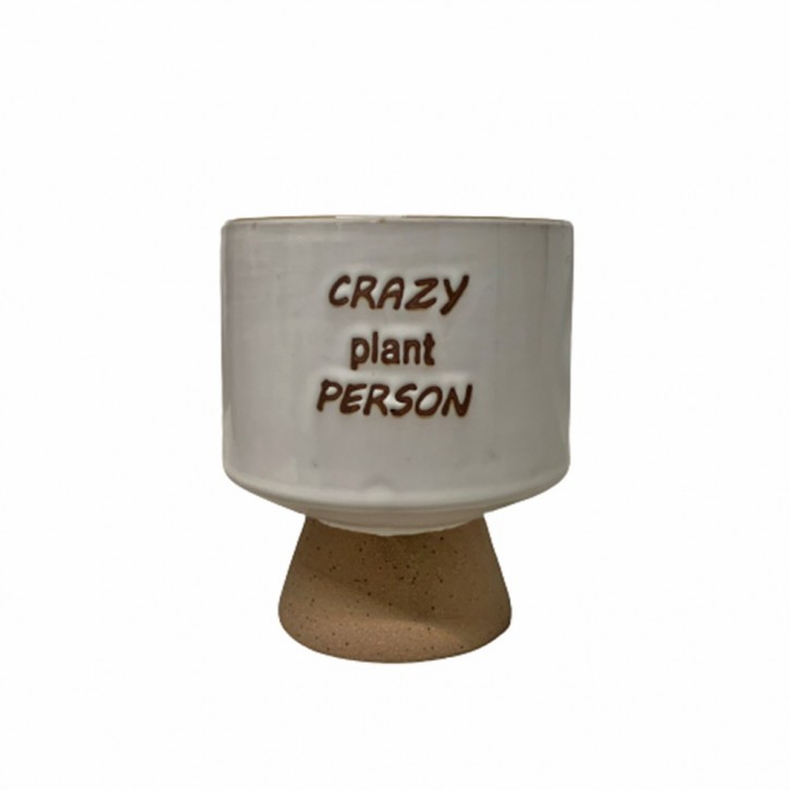 Pistacia Weinmannifolia on Crazy Plant Person Ceramic Pot