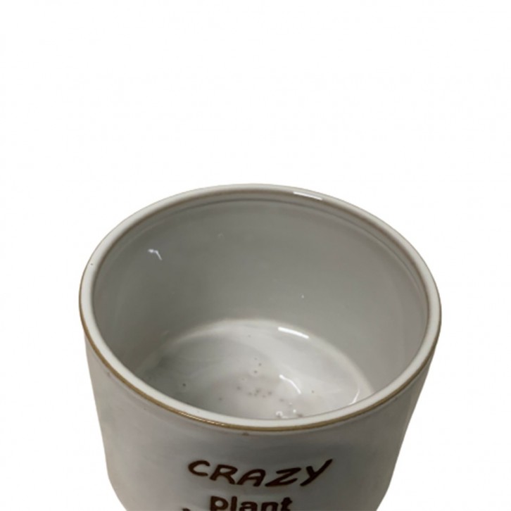 Pistacia Weinmannifolia on Crazy Plant Person Ceramic Pot