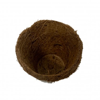 Biodegradable Eco Coco Coir / Fibre Seedling Cups