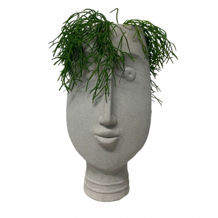 Mistletoe Cactus (Rhipsalis Baccifera) on Greek Statue Face Planter Pot