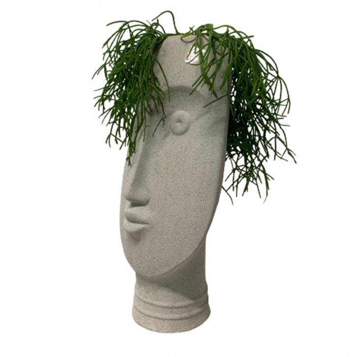 Mistletoe Cactus (Rhipsalis Baccifera) on Greek Statue Face Planter Pot