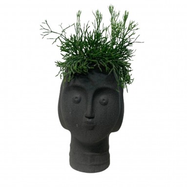Rhipsalis on 3-Faced Greek Statue Planter Pot