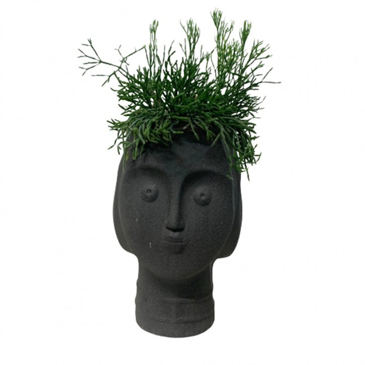 Rhipsalis on 3-Faced Greek Statue Planter Pot