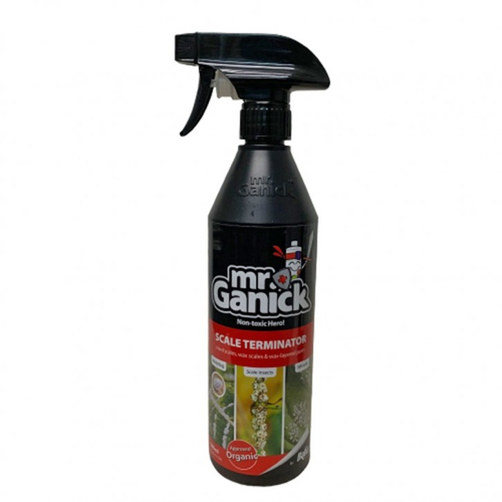 MR GANICK Scale Terminator (Baba)