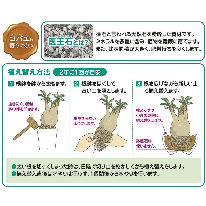 Soil for Caudex plants (Hanagokoro)