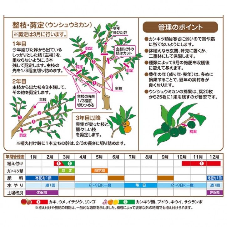 Soil for Fruit & Citrus (Hanagokoro)
