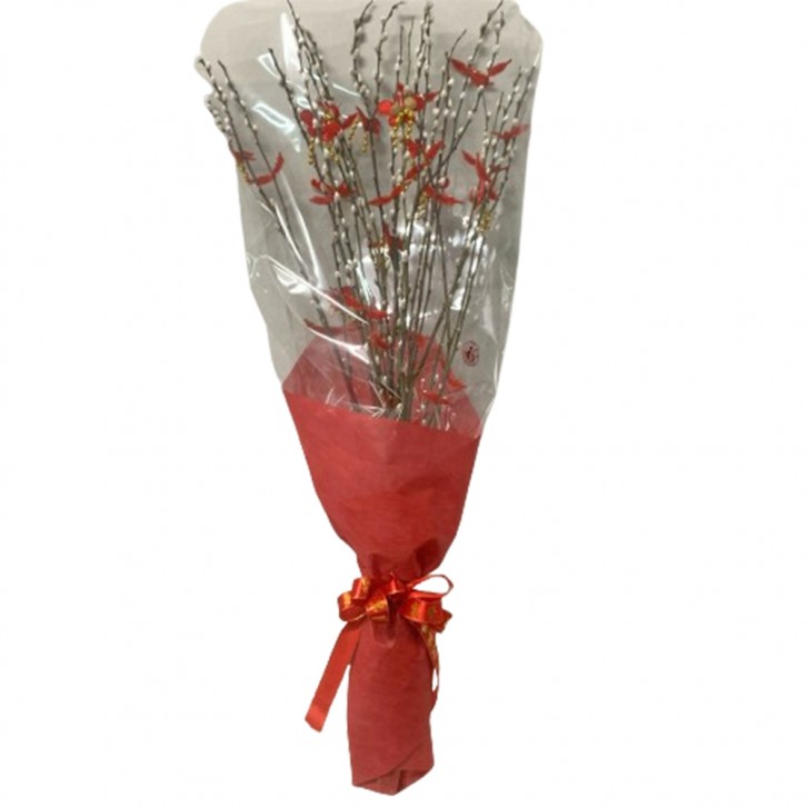 CNY Pussy Willow 银柳 Bouquet