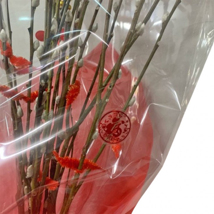 CNY Pussy Willow 银柳 Bouquet