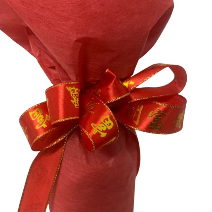 CNY Pussy Willow 银柳 Bouquet