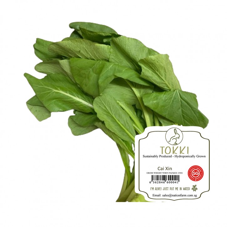 "Tokki" Fresh Cai Xin 250g