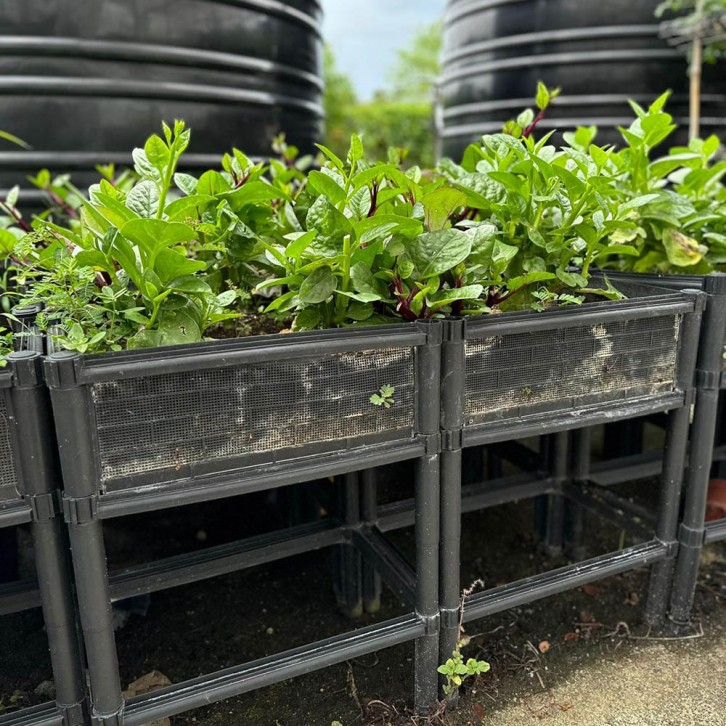 Garden Box GBU04 (Usagi)