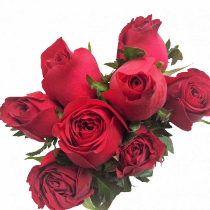 [Festive] FreshCut Rose (China)