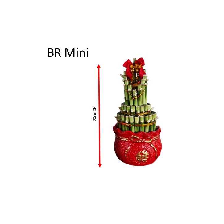 CNY Lucky Bamboo BR MINI 富貴竹 (3983)