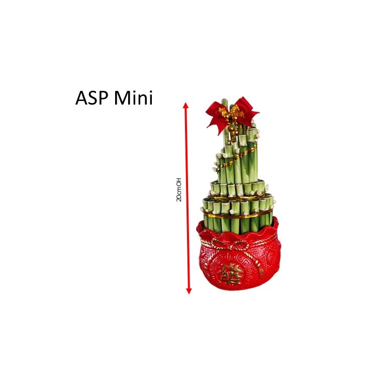 CNY Lucky Bamboo ASP MINI 富貴竹 (2578)