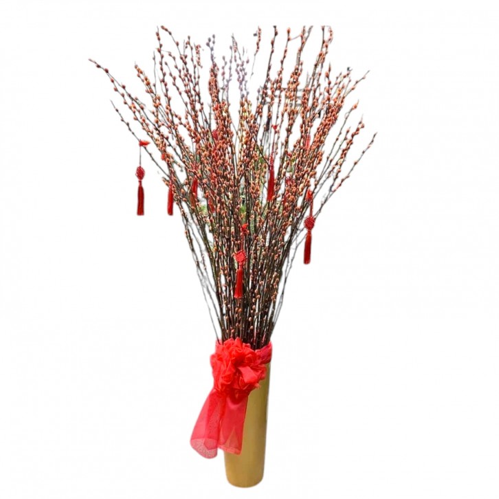 升官发财 Promotions and Wealth (Pussy willow arrangement)