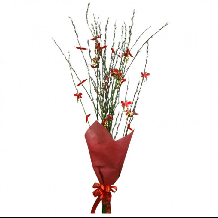 CNY Pussy Willow 银柳 Bouquet