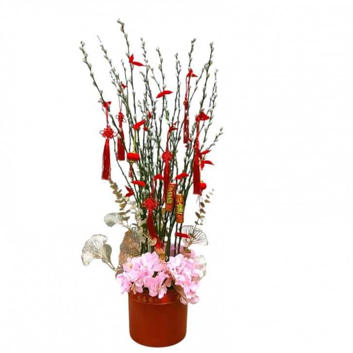 龍馬精神 Vigour and Health