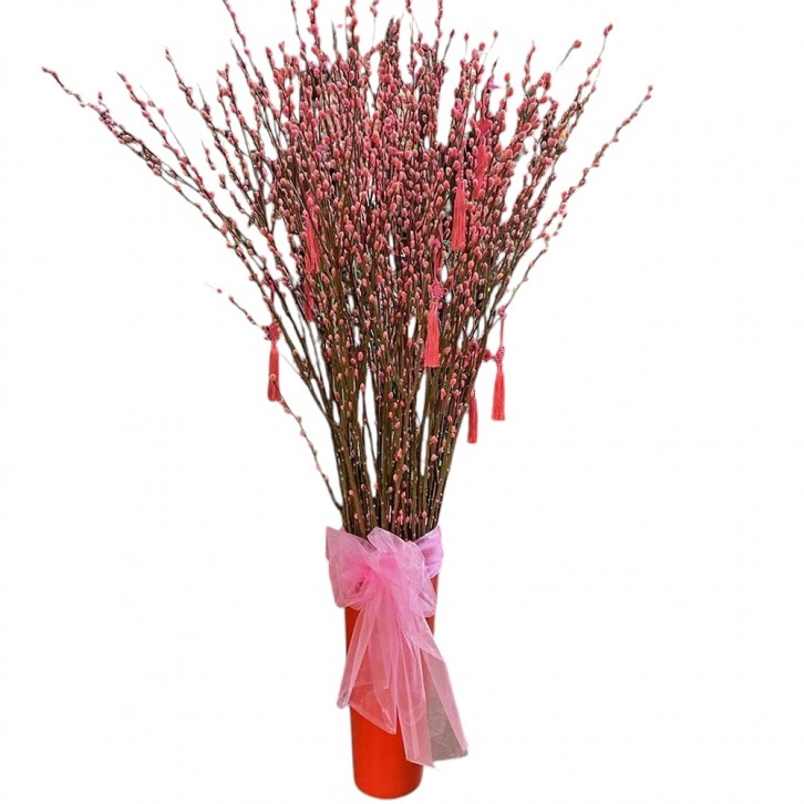 恭贺新年 A Happy New Year