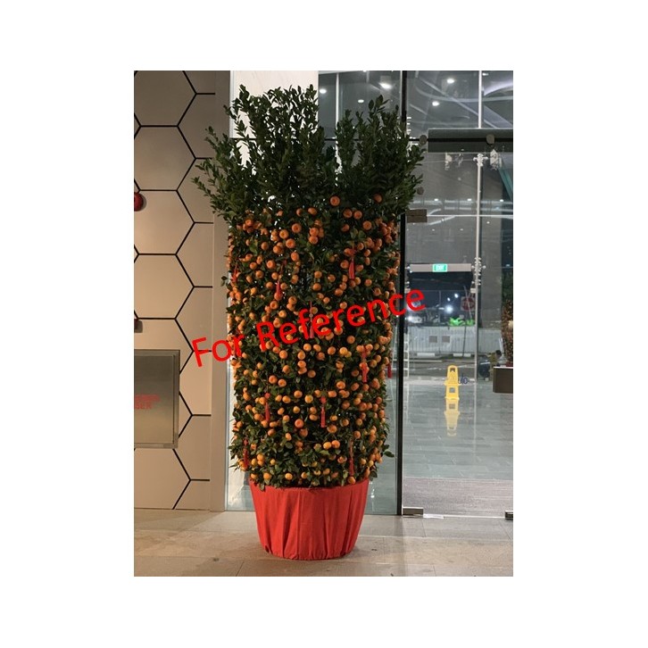 Customised skirting (Red cloth pot wrap)