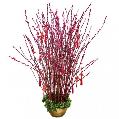 幸福永恆 Eternal Joy (Pussy Willow Arrangement)