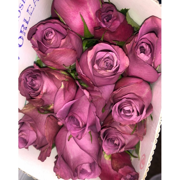 [Festive] FreshCut Rose (India)