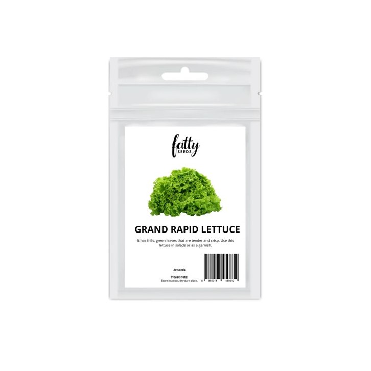 Fatty Seeds: Grand Rapid Lettuce