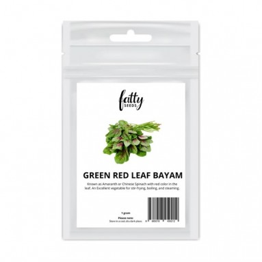 Fatty Seeds: Green Red Leaf Bayam