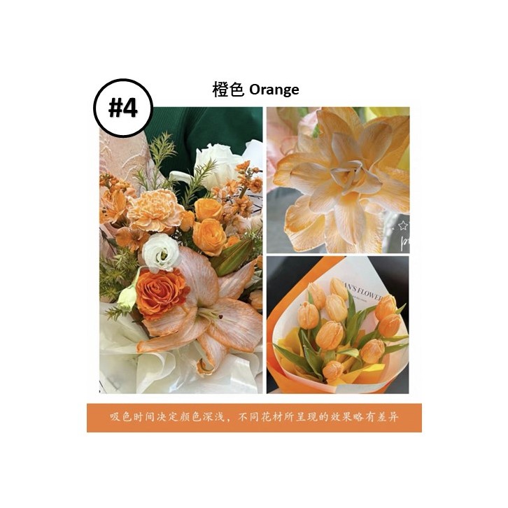 Liquid Dye for fresh flowers