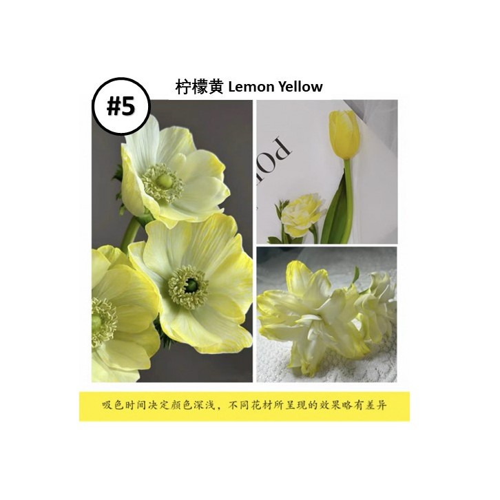 Liquid Dye for fresh flowers