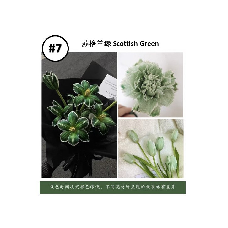 Liquid Dye for fresh flowers