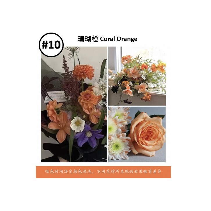 Liquid Dye for fresh flowers