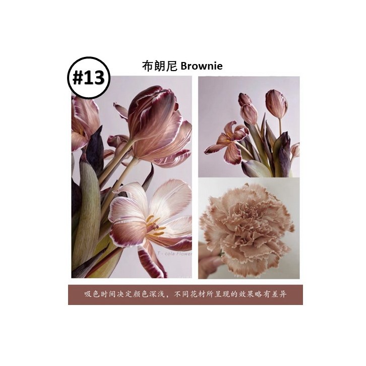 Liquid Dye for fresh flowers