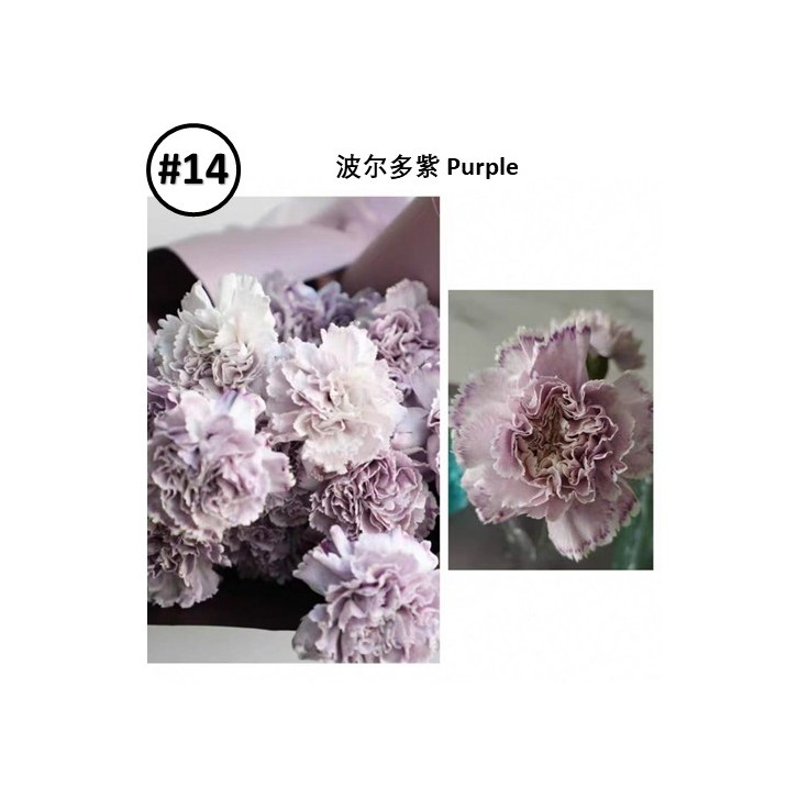 Liquid Dye for fresh flowers