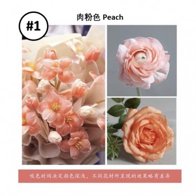 Liquid Dye for fresh flowers