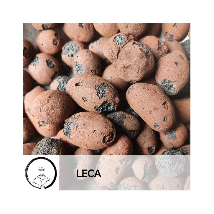 Leca (Usagi)