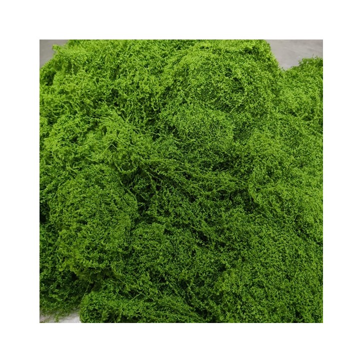 Artificial Moss (Loose Form)