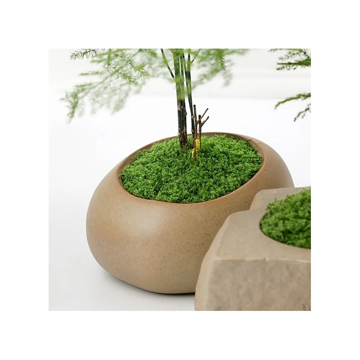 Artificial Moss (Loose Form)