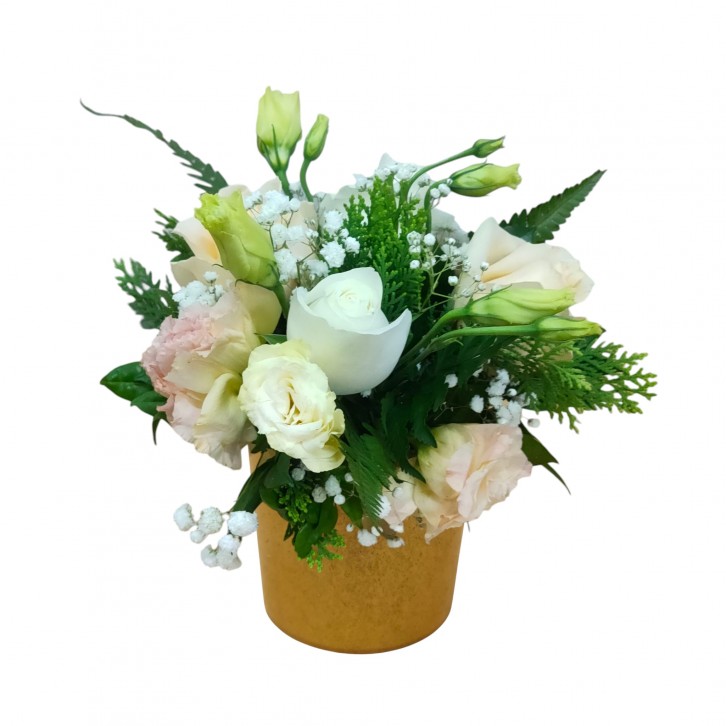 Decorative Plastic pot (without hole)