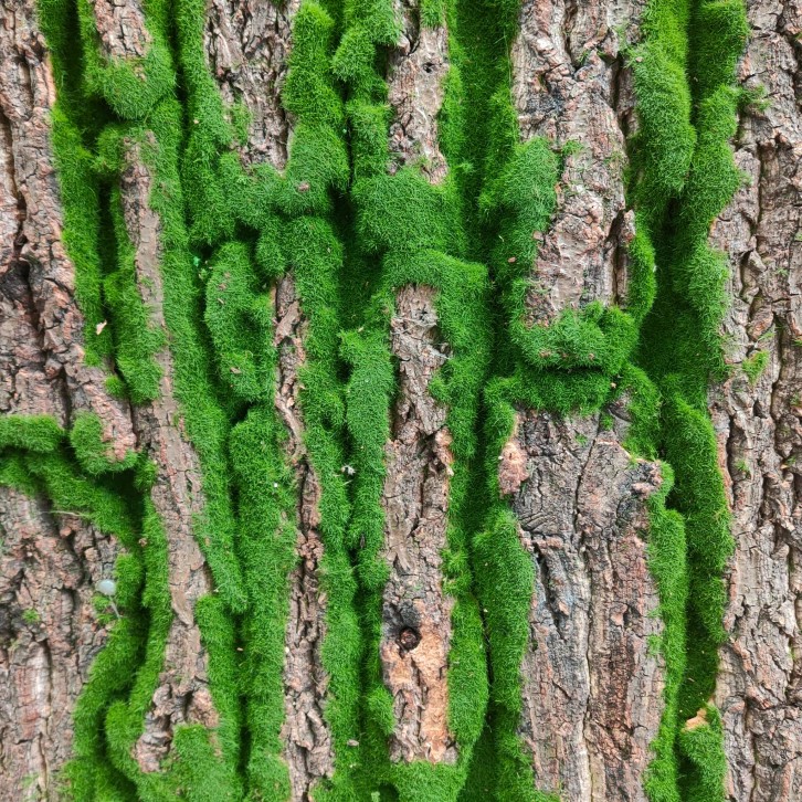 Artificial Moss Cloth 苔藓布