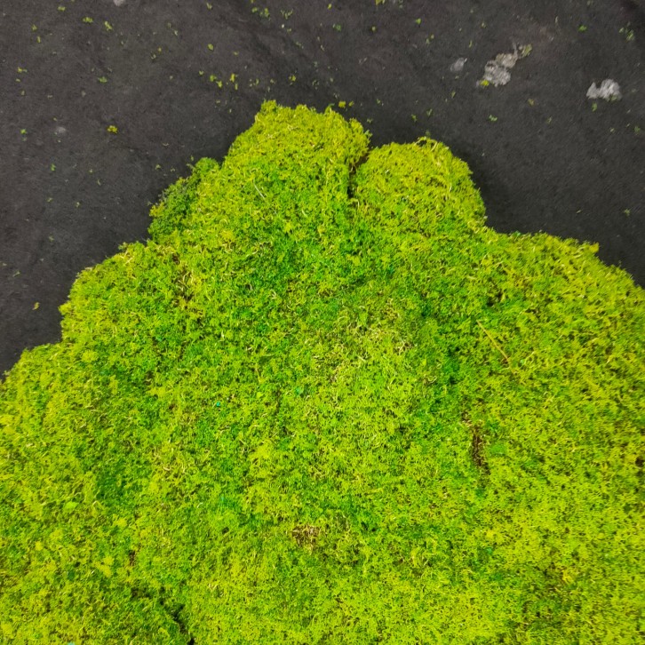 Artificial Moss Cloth 苔藓布